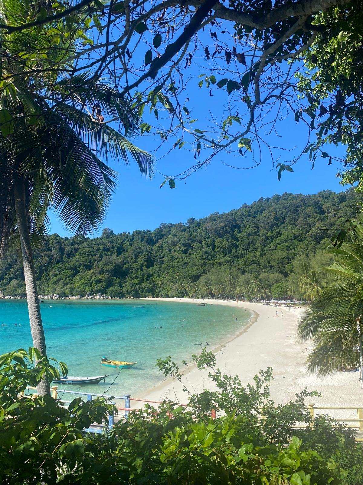 Boats on a tropical island beach